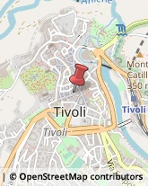 Via Trevio, 31,00019Tivoli