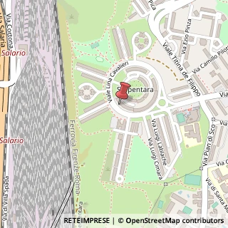 Mappa Viale Lina Cavalieri, 104, 00139 Roma, Roma (Lazio)
