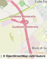 Via Luigi Gabelli, 7,00012Guidonia Montecelio