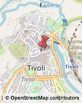 Piazza Plebiscito, 30,00019Tivoli