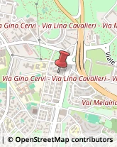 Via Ubaldino Peruzzi, 63,00139Roma