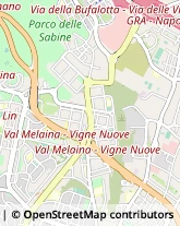 Via Giulio Antamoro, 64,00139Roma