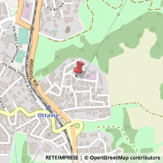 Mappa Via del Fontanile Nuovo, 88, 00135 Roma, Roma (Lazio)