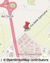 Via Lago dei Tartari, 73,00012Guidonia Montecelio