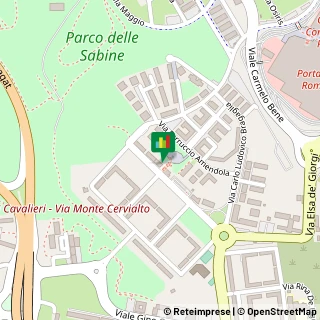 Viale Cesco Baseggio, 44,00139Roma