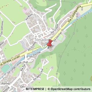 Mappa Via Zocchet, 10, 38054 Tonadico, Trento (Trentino-Alto Adige)