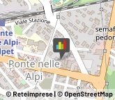 Banche e Istituti di Credito,32014Belluno