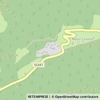 Colonie Elioterapiche ed Estive Tonadico,38054Trento