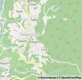 Mappa 38047 Segonzano TN, Italia (0.31923)