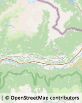 Ortofrutticoltura Bianzone,23030Sondrio