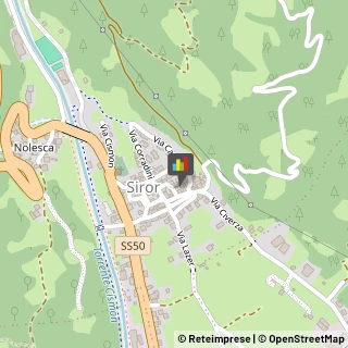 Animali Domestici - Toeletta,38054Vicenza