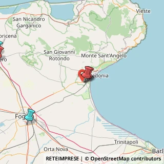 Mappa Ss 89 km 172+310 Z.I. PIP, 71040 Manfredonia FG, Italia (60.00733)