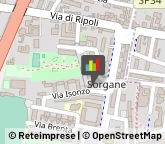 Energia Elettrica - Societa di Produzione,50126Firenze
