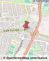 Viale Europa, 174,50126Firenze