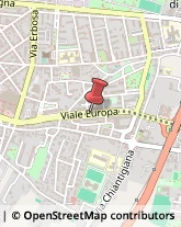 Viale Europa, 135,50126Firenze