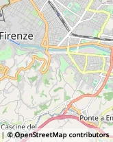 Vivai Piante e Fiori Firenze,50126Firenze