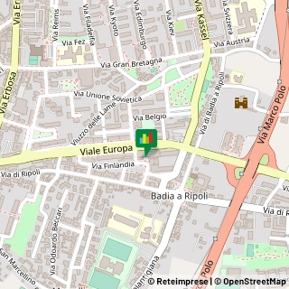 Via Finlandia, 26,50126Firenze