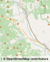 Aziende Agricole Pratovecchio Stia,52015Arezzo