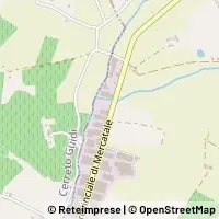 Map Vinci