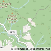 Map Castel San Niccolò