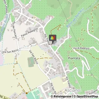 Agenzie Immobiliari San Giuliano Terme,56017Pisa