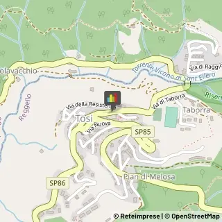 Alimentari,50066Firenze