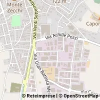 Carte Carpenedolo