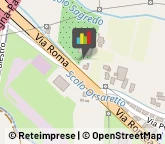 Vivai Piante e Fiori Legnaro,35020Padova