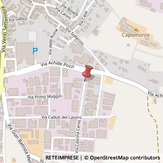 Mappa Via cascina cervo 11, 25013 Carpenedolo, Brescia (Lombardia)