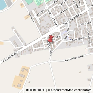 Mappa Via Silvio Pellico, 51, 25013 Carpenedolo, Brescia (Lombardia)