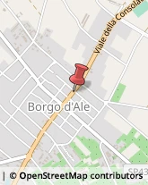 Via Roma, 37,13040Borgo d'Ale