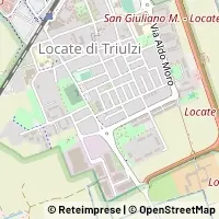 Carte Locate di Triulzi
