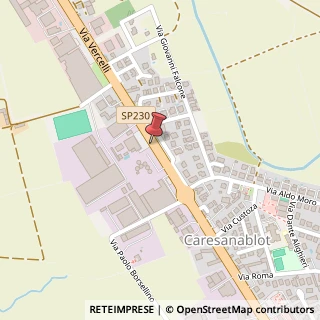 Mappa Via Borgo Vercelli, 53, 13030 Caresanablot, Vercelli (Piemonte)