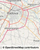 Articoli per Ortopedia Maserà di Padova,35020Padova