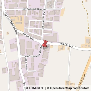 Mappa Via Cristoforo Colombo, 9, 25013 Carpenedolo, Brescia (Lombardia)
