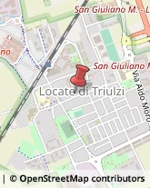 Via Gardino, 21,20085Locate di Triulzi