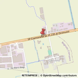 Mappa Via Strada Statale, Km. 47, 26010 Bagnolo Cremasco, Cremona (Lombardia)
