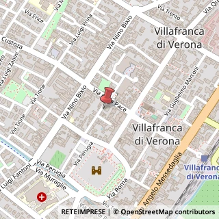 Mappa Via Cesare Gandini, 11, 37069 Villafranca di Verona, Verona (Veneto)