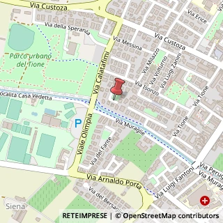 Mappa Via Bruno Buozzi, 20, 37069 Villafranca di Verona, Verona (Veneto)