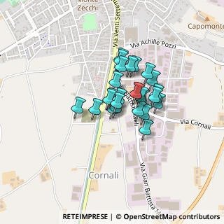 Mappa Via Montessori, 25013 Carpenedolo BS, Italia (0.26192)