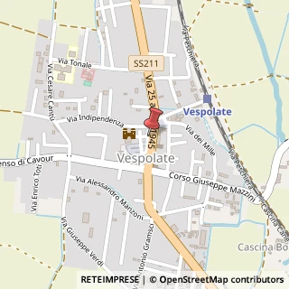 Mappa Via A. Montemaggiore, 2, 28079 Vespolate, Novara (Piemonte)