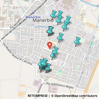 Mappa Via S. Costanzo Martire, 25025 Manerbio BS, Italia (0.4505)