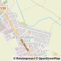 Map Caresanablot