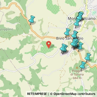 Mappa Via di S. Bartolomeo, 53045 Montepulciano SI, Italia (1.2855)