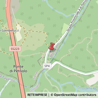 Mappa Strada Provinciale di Petriolo, 17, 53015 Monticiano, Siena (Toscana)