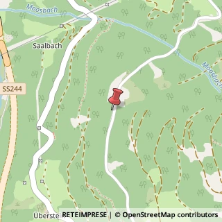 Mappa Localita' s. stefano 29, 39030 San Lorenzo di Sebato, Bolzano (Trentino-Alto Adige)