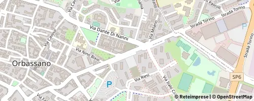 Mappa Orbassano