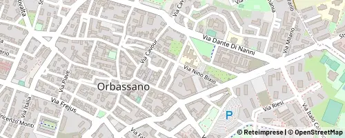 Mappa Orbassano