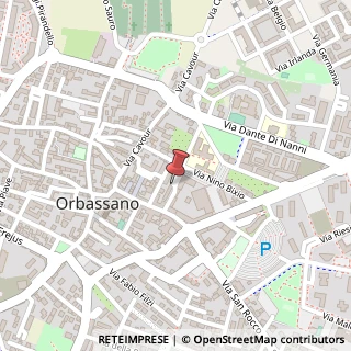 Mappa Via Ippolito Nievo, 2, 10043 Orbassano, Torino (Piemonte)