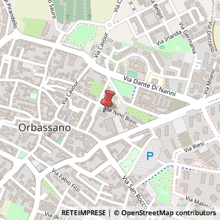 Mappa Via Nino Bixio, 20, 10043 Orbassano, Torino (Piemonte)